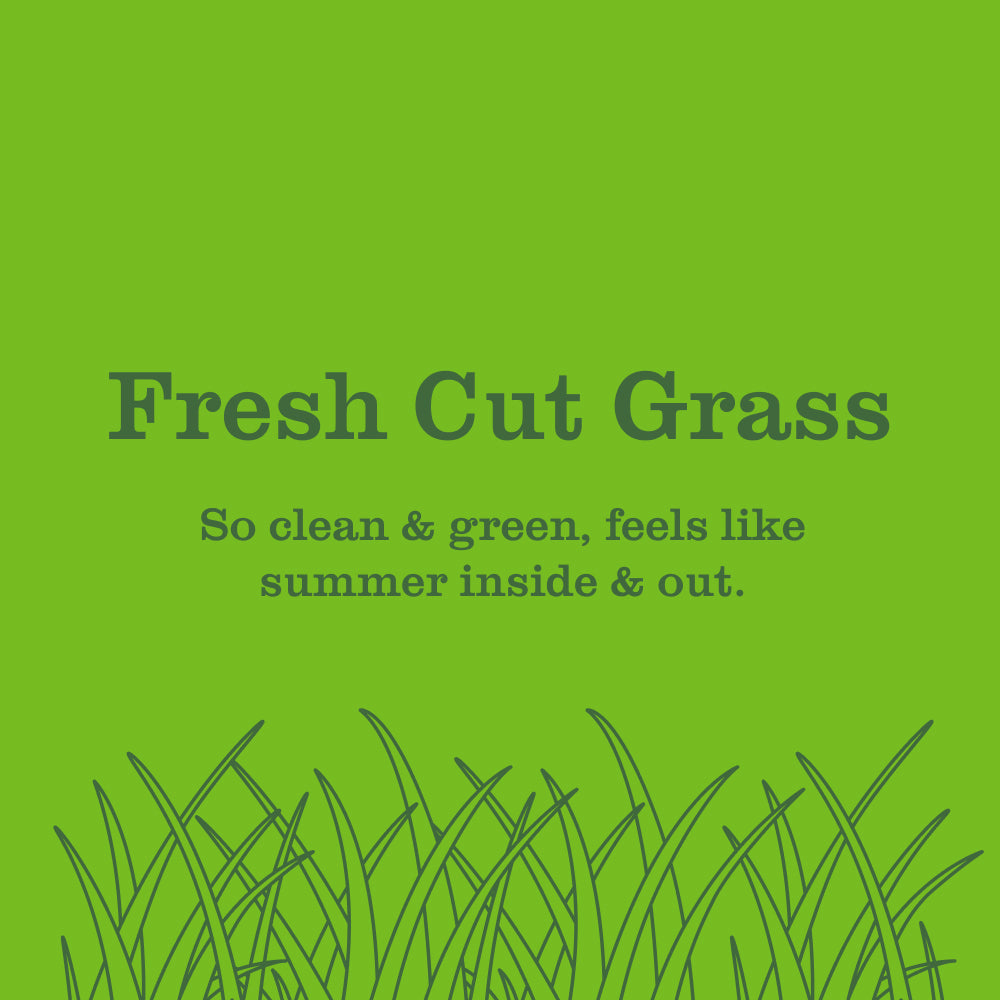 Mrs. Meyer's Clean Day Fresh Cut Grass Room Freshening Spray