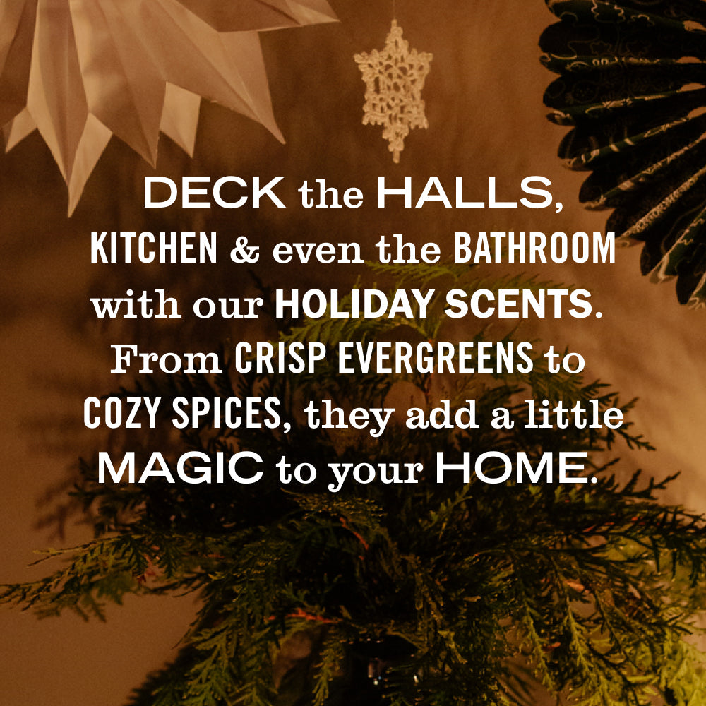 Mrs. Meyer's Clean Day Holiday Seasonal Dishwashing Liquid Collection