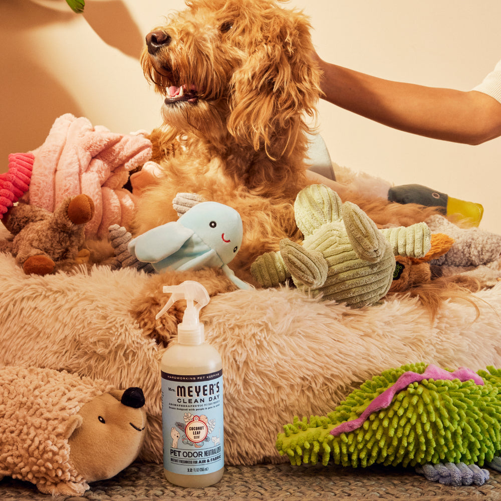 Mrs. Meyer's Clean Day Pet Cleaning Essentials Set Gift-Ready