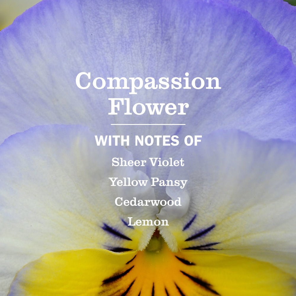 Mrs. Meyer's Clean Day Compassion Flower Plug-In Scented Oil Refill 2-Pack Home Essential
