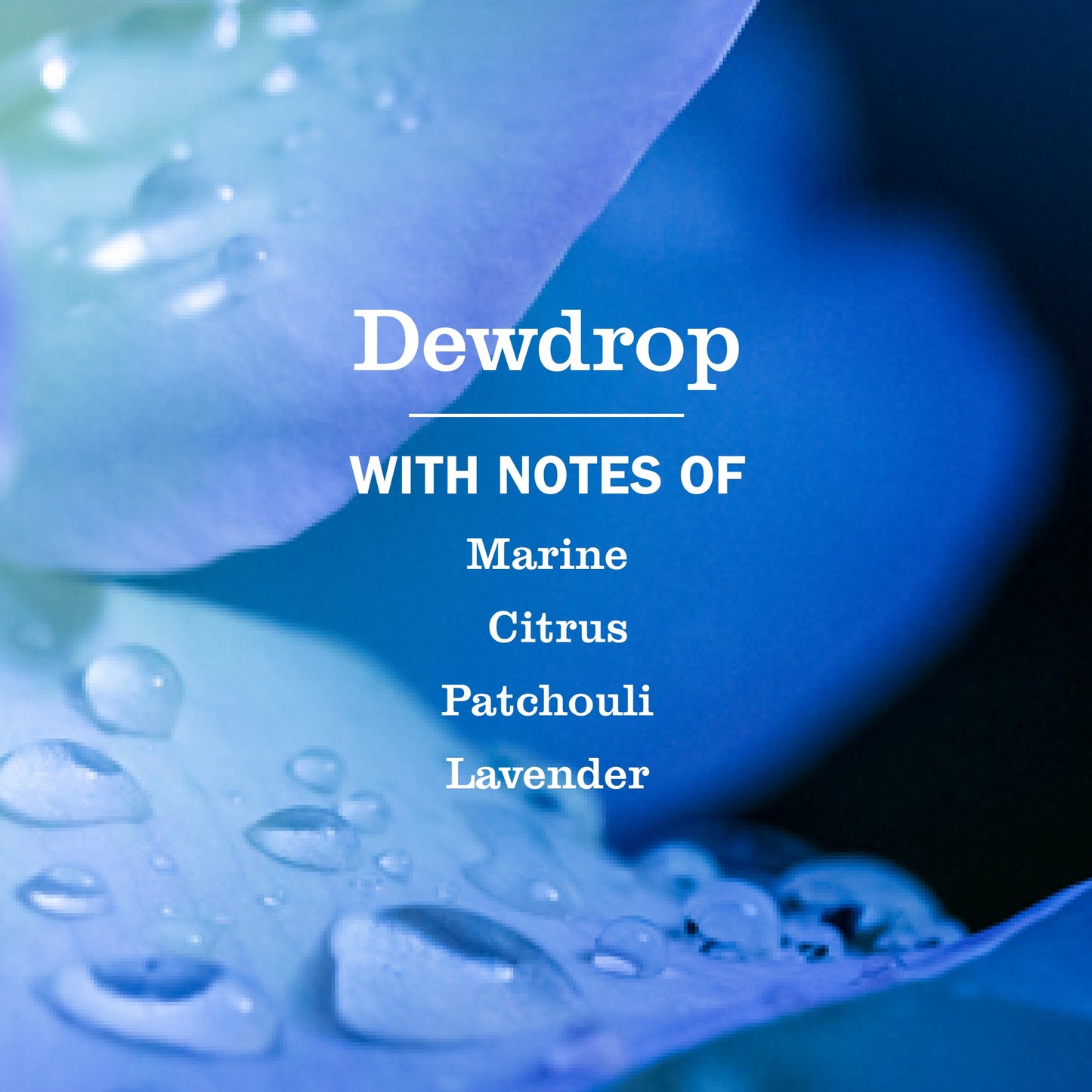 Mrs. Meyer's Clean Day Dewdrop Fresh Home Collection