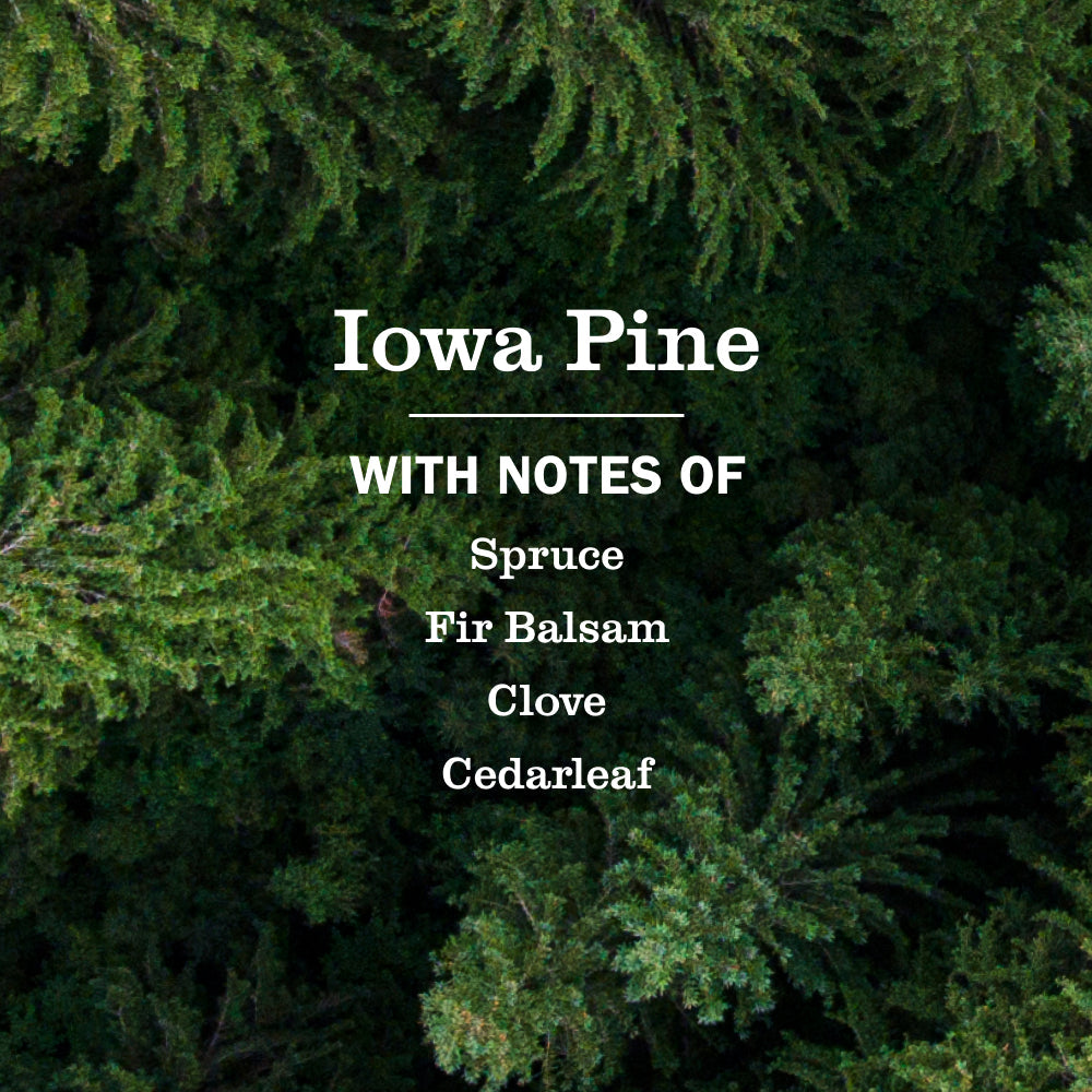 Mrs. Meyer's Clean Day Iowa Pine Plug-In Warmer and Scented Oil Refill