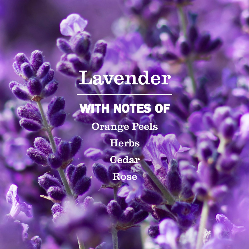 Mrs. Meyer's Clean Day Lavender Plug-In Warmer and Scented Oil Refill