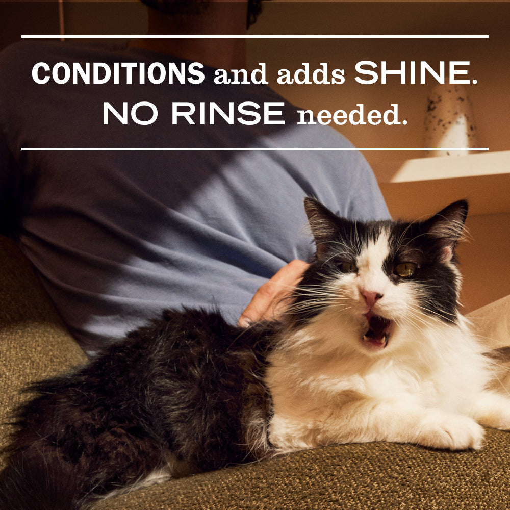 Mrs. Meyer's Clean Day Cat Care Set Gift-Ready