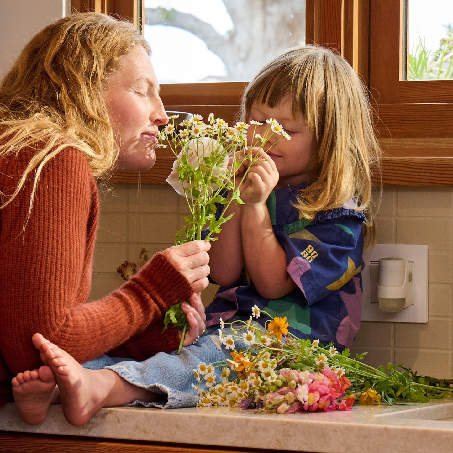 Mrs. Meyer's Clean Day Compassion Flower Plug-In Scented Oil Refill 2-Pack Home Essential
