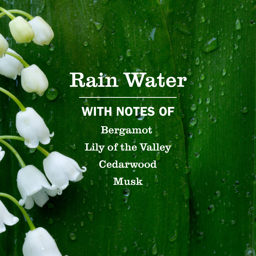 Mrs. Meyer's Clean Day Rain Water Plug-In Warmer and Scented Oil Refill