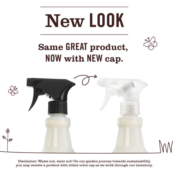 Mrs. Meyer's Clean Day Dewdrop Room Freshening Spray