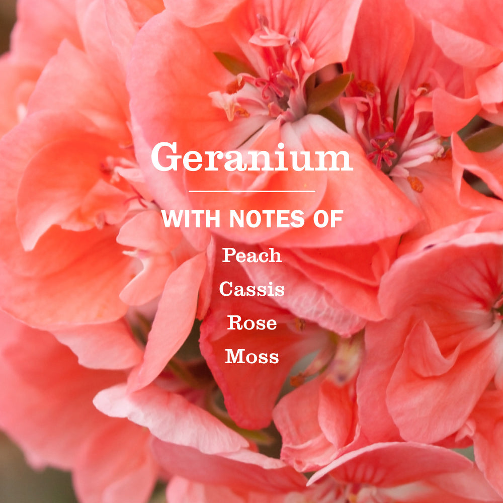 Mrs. Meyer's Clean Day Geranium Liquid Hand Soap Refill Pouch