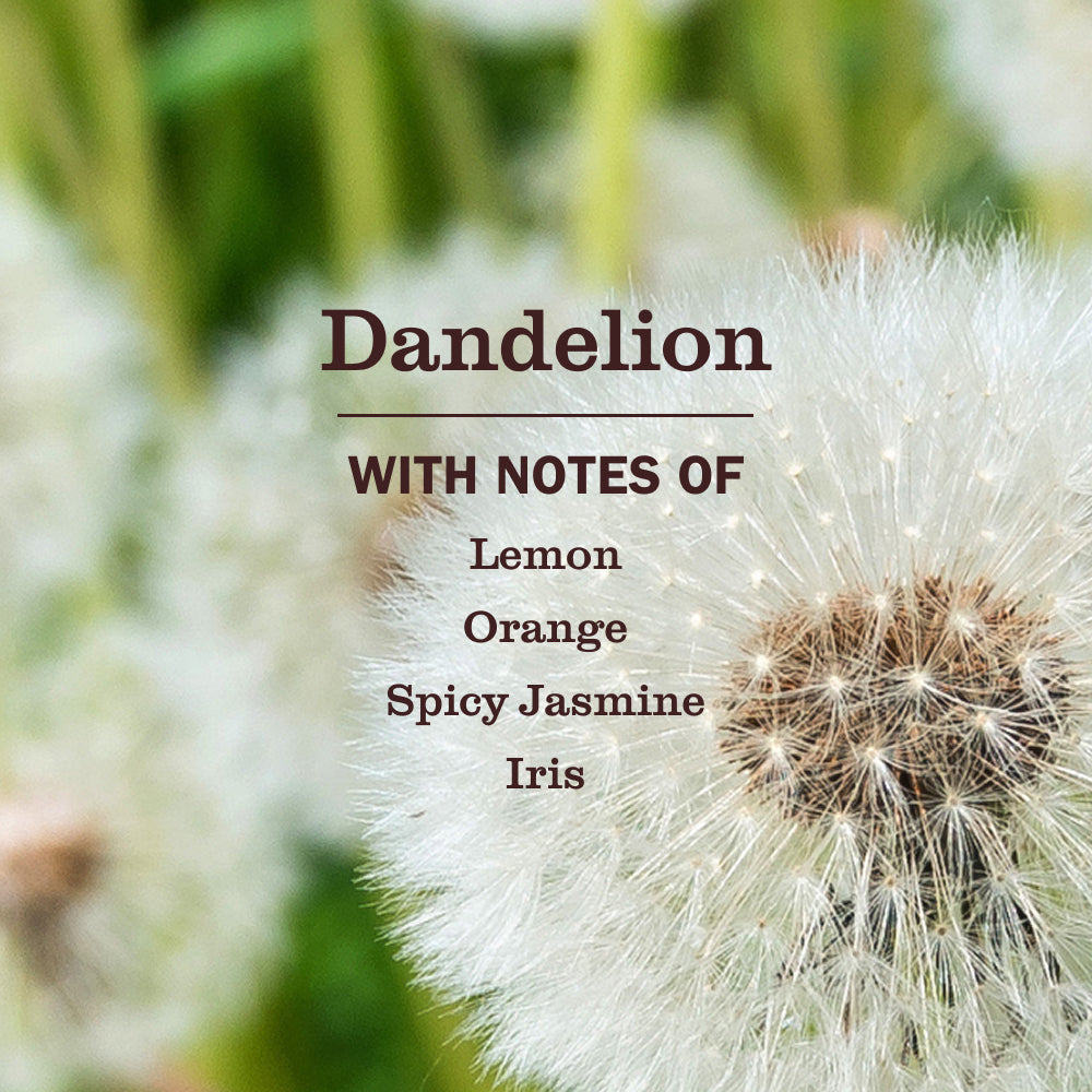 Mrs. Meyer's Clean Day Dandelion Multi-Surface Cleaning Spray