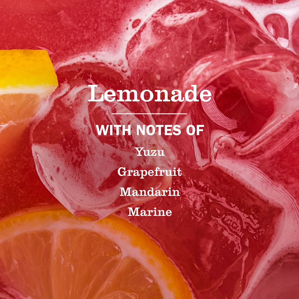 Mrs. Meyer's Clean Day Lemonade Liquid Hand Soap Home Essential