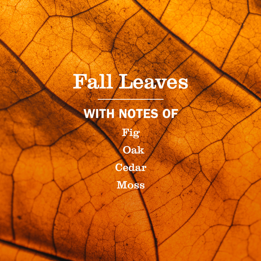 Mrs. Meyer's Clean Day Fall Leaves Multi-Surface Cleaner Bundle, 3-Count