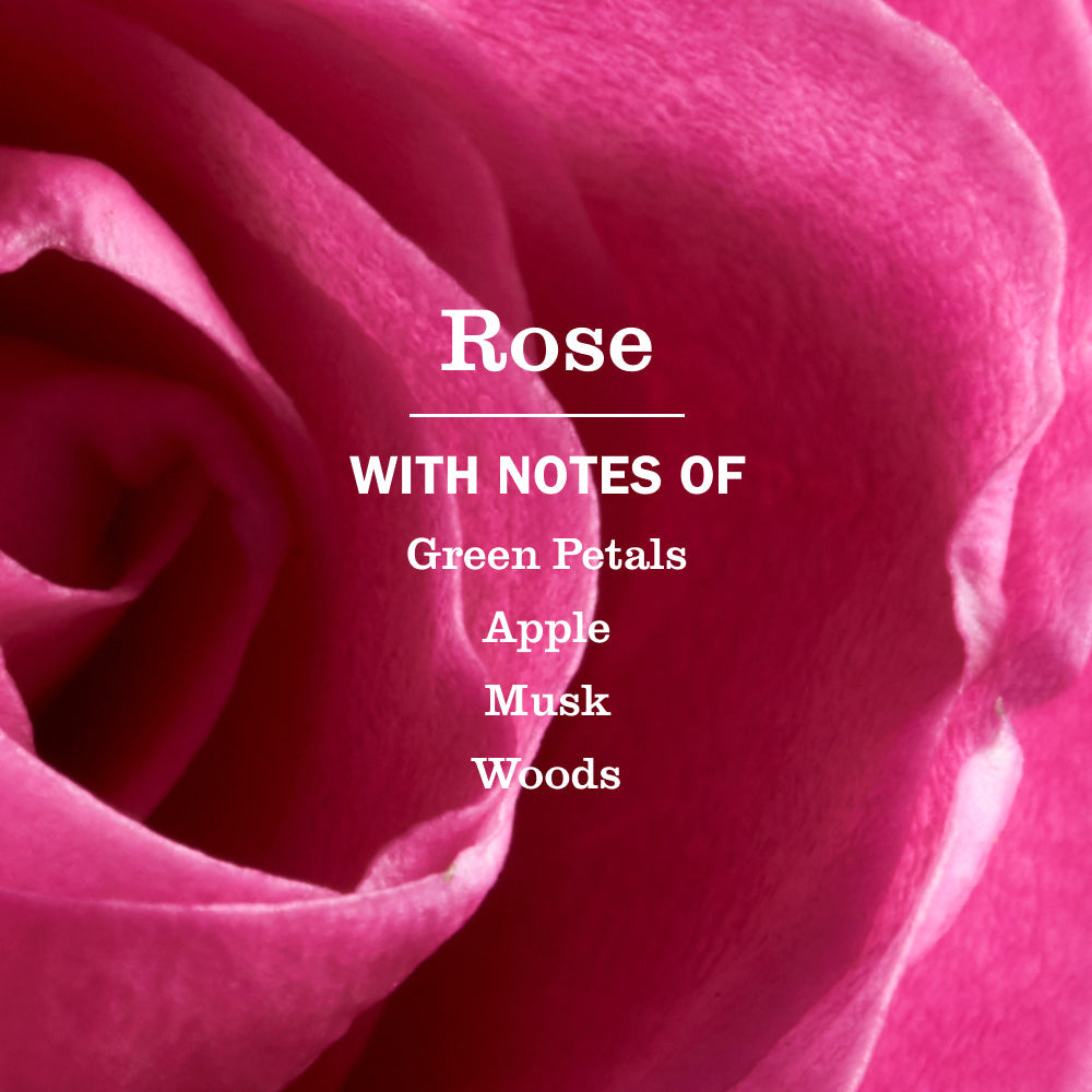 Mrs. Meyer's Clean Day Rose Dishwashing Liquid