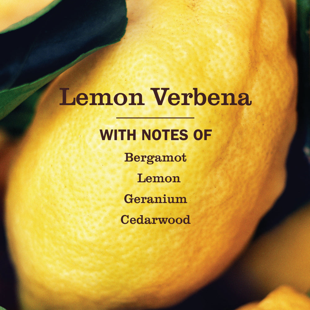 Mrs. Meyer's Clean Day Lemon Verbena Liquid Hand Soap Home Essential