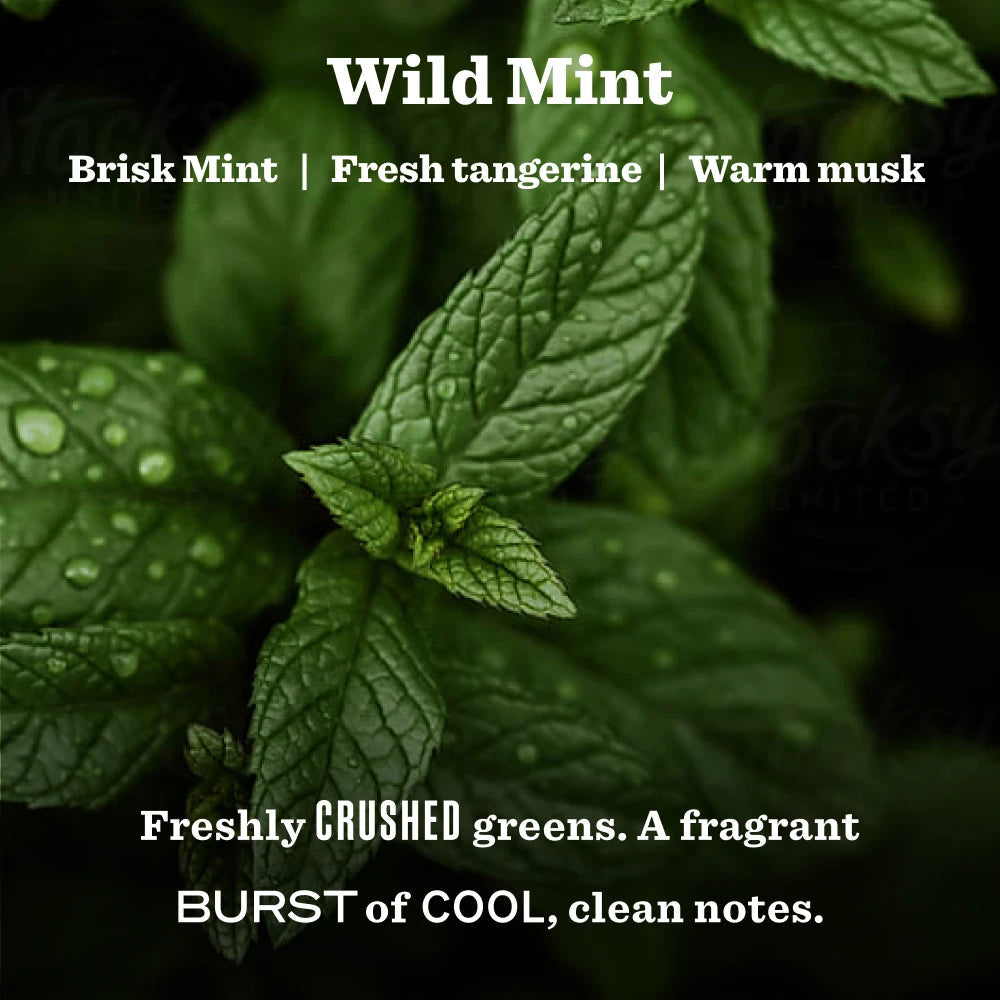 Mrs. Meyer's Clean Day Wild Mint Garden Heirloom Candle Home Essential