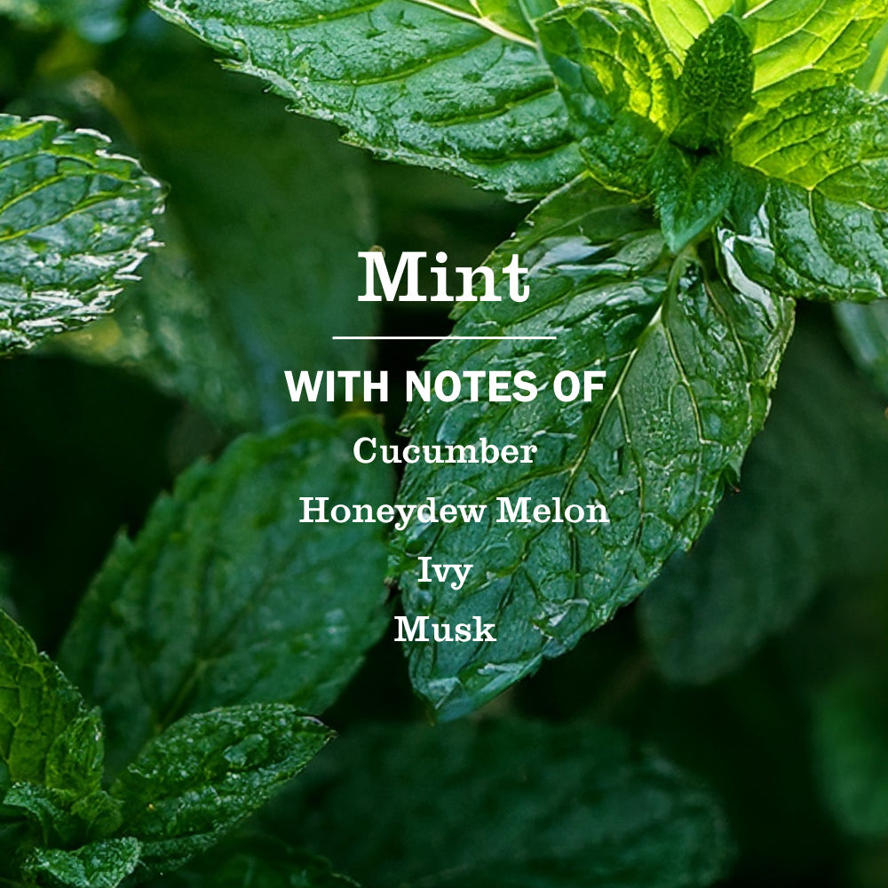Mrs. Meyer's Clean Day Mint Multi-Surface Cleaning Spray