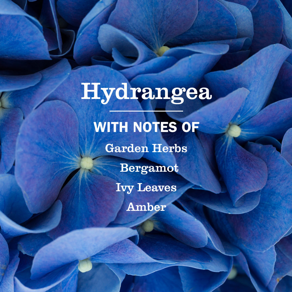 Mrs. Meyer's Clean Day Hydrangea Liquid Hand Soap Home Essential