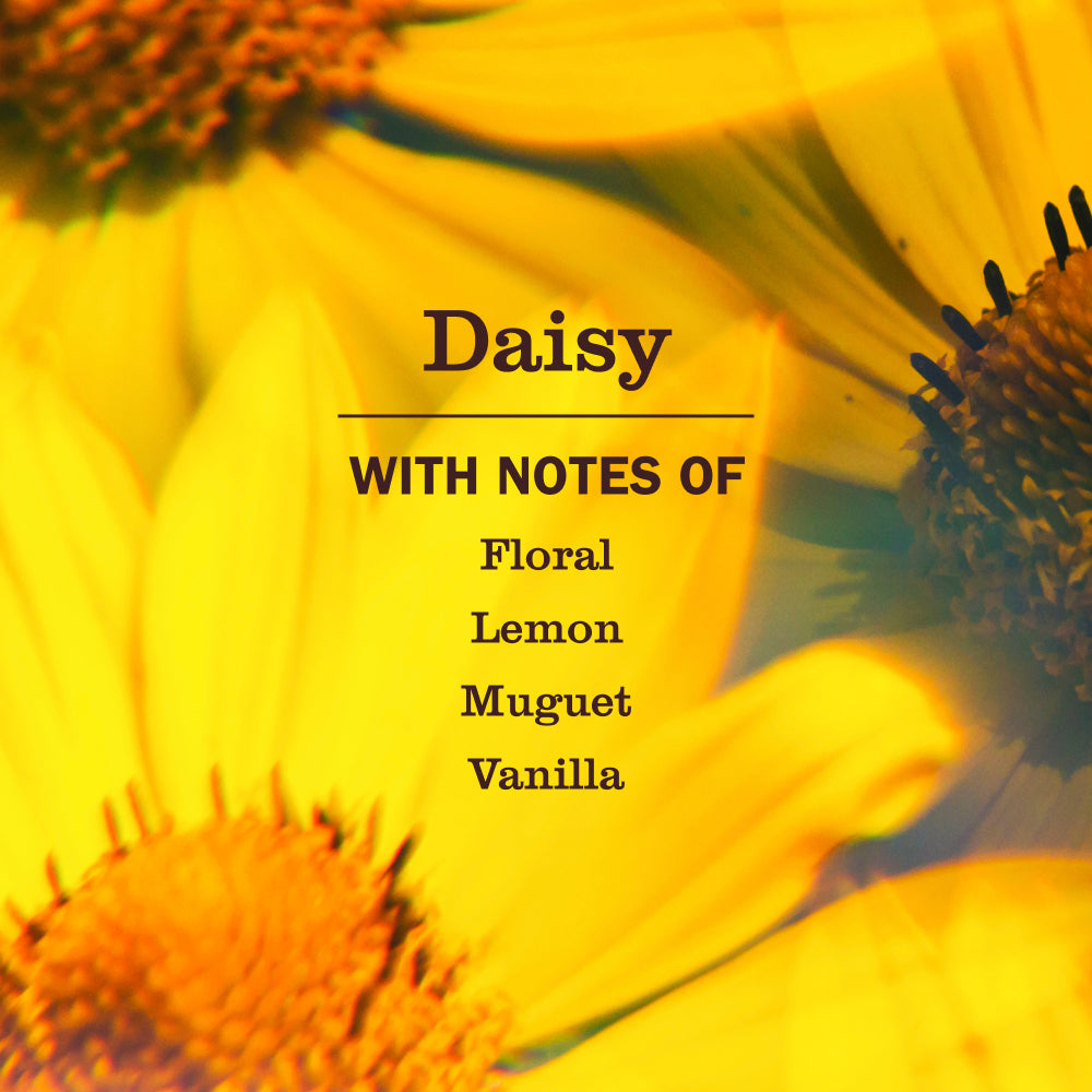 Mrs. Meyer's Clean Day Daisy Dishwashing Liquid