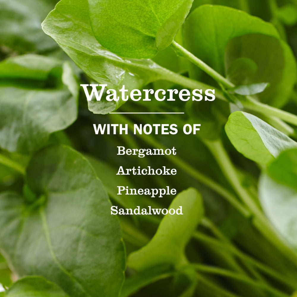 Mrs. Meyer's Clean Day Watercress Liquid Hand Soap Home Essential
