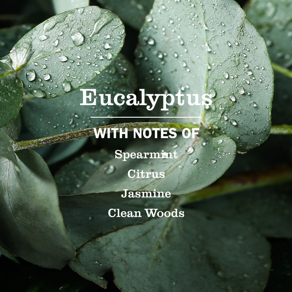 Mrs. Meyer's Clean Day Eucalyptus Multi-Surface Cleaning Spray