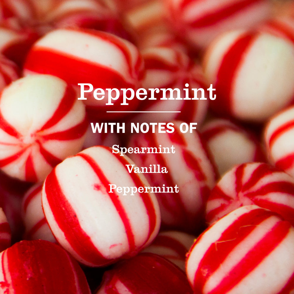 Mrs. Meyer's Clean Day Peppermint Dishwashing Liquid