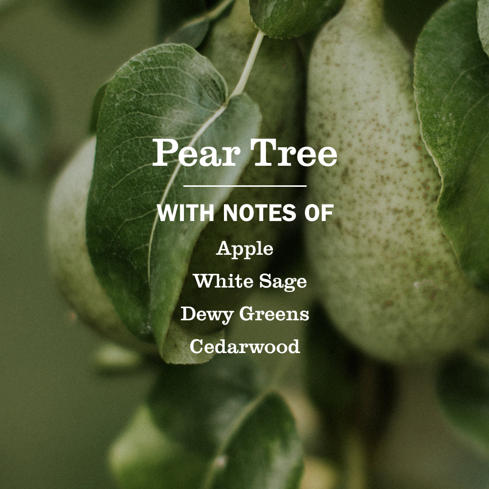 Mrs. Meyer's Clean Day Pear Tree Room Freshening Spray