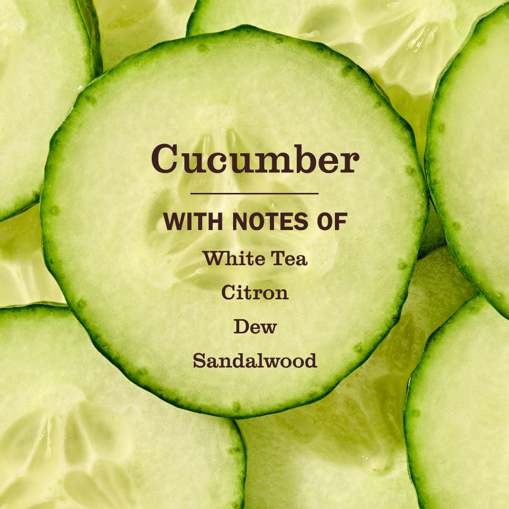 Mrs. Meyer's Clean Day Cucumber Liquid Hand Soap Home Essential