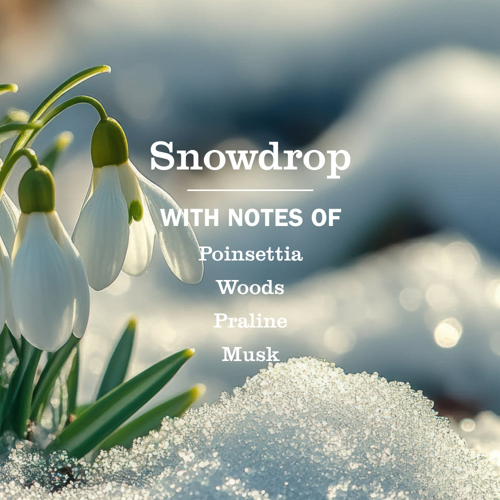 Mrs. Meyer's Clean Day Snowdrop Dishwashing Liquid