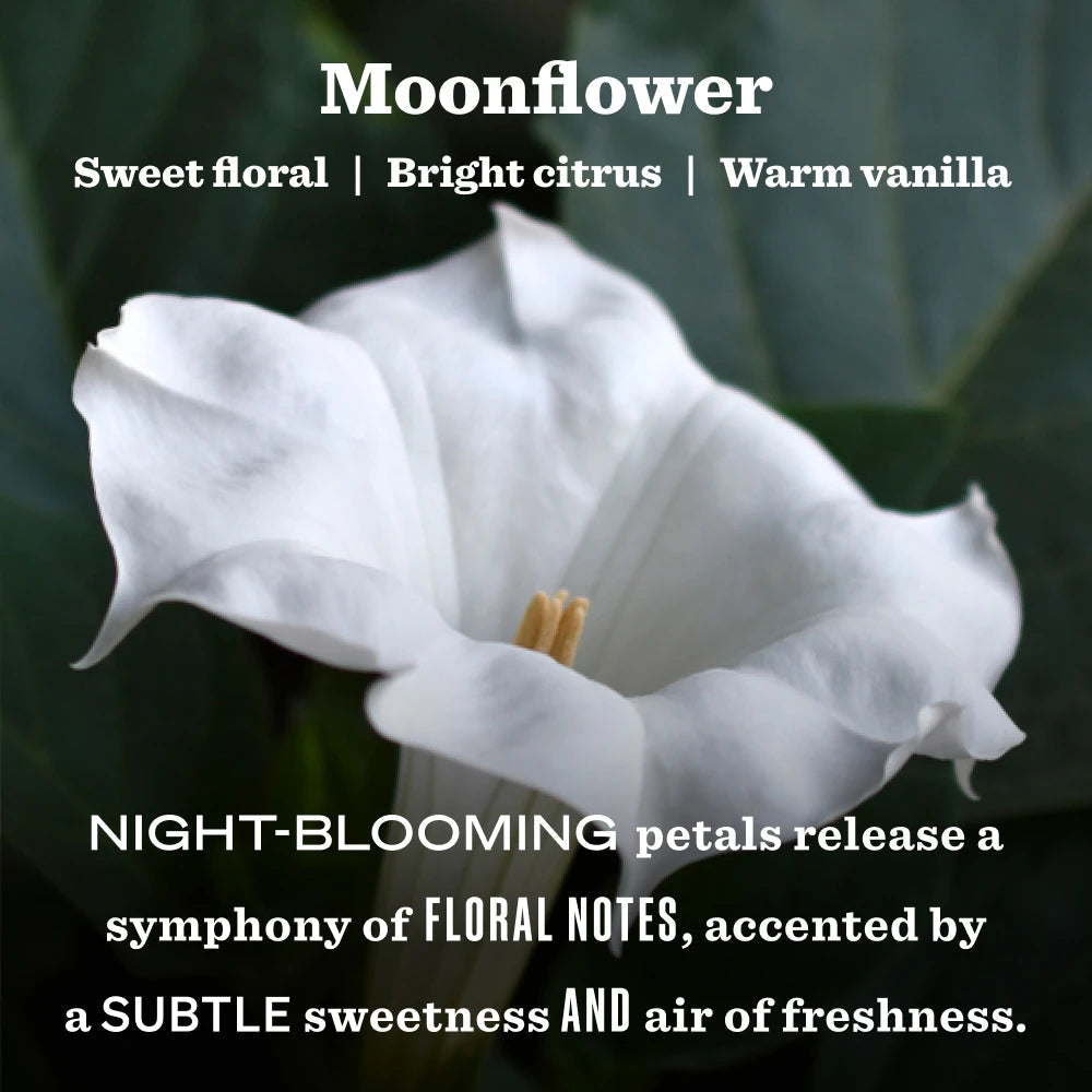 Mrs. Meyer's Clean Day Moonflower Garden Heirloom Candle Home Essential