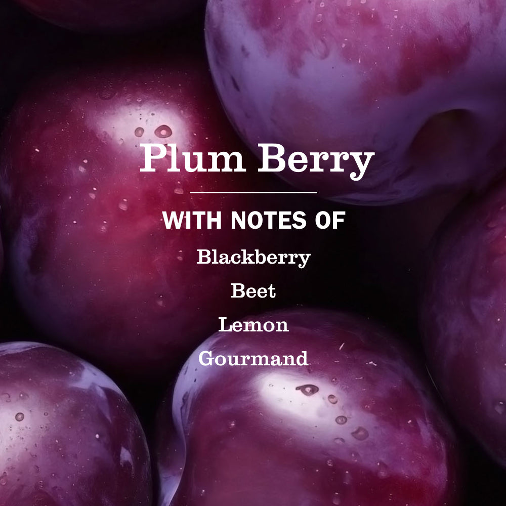 Mrs. Meyer's Clean Day Plum Berry Liquid Hand Soap Refill Pouch